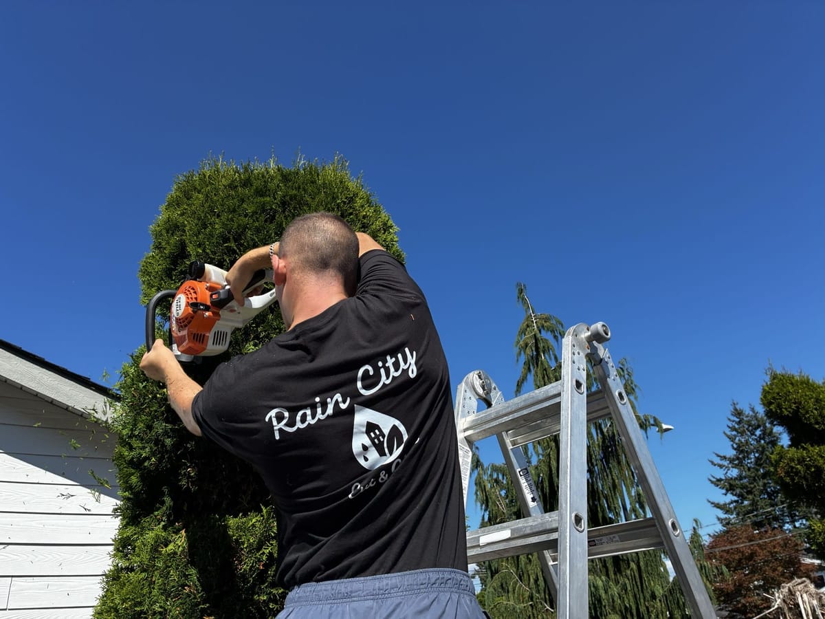 Surface & Shield — Protect what you've built.